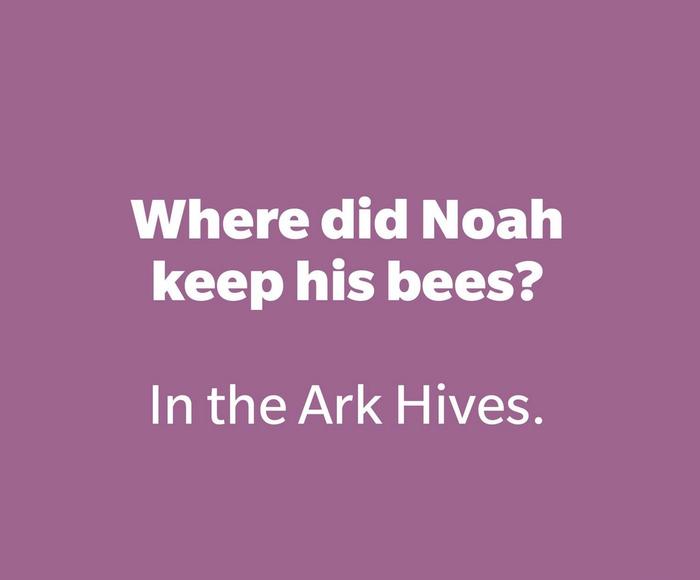 [Thumbnail for Wordplay_Joke_Bees.jpg]