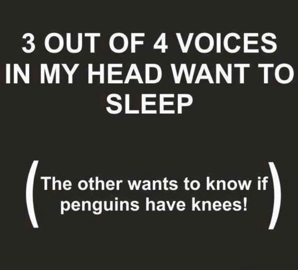 [Thumbnail for 3-of-4-voices-want-to-sleep-and-1-wants-to-know-if-penguins-have-knees.png]