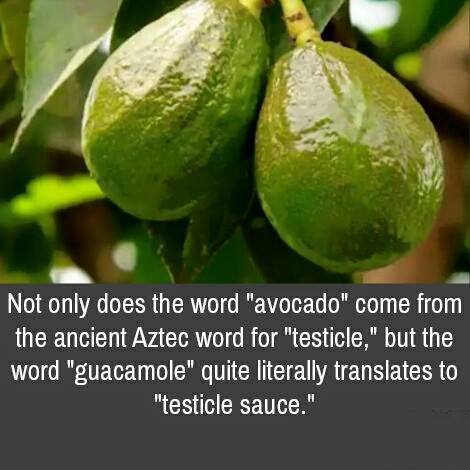 [Thumbnail for Avacado-guacamole-testical-sauce.jpg]