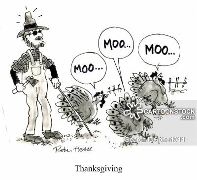[Thumbnail for turkeys-moo.jpg]