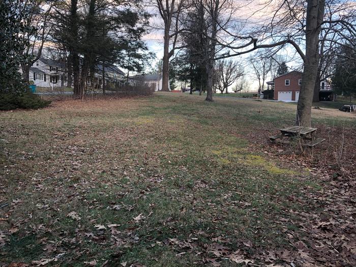 West of the house, future site of orchard
