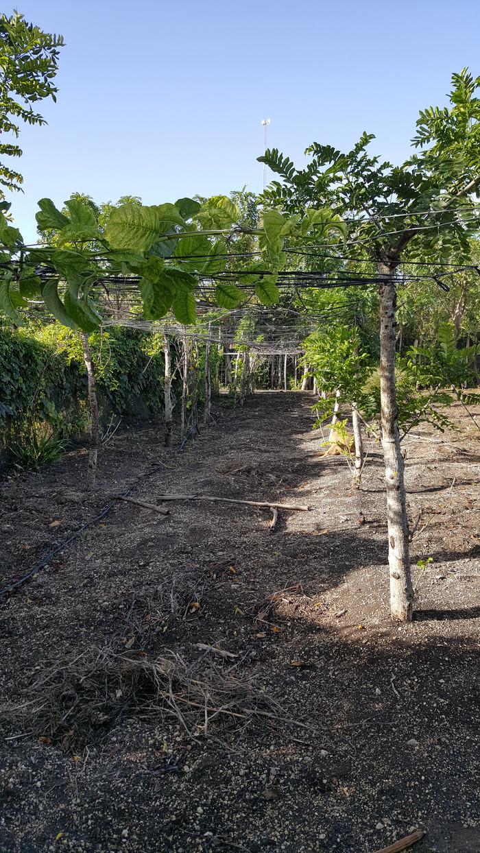 [Thumbnail for 20200114_090734.jpg]