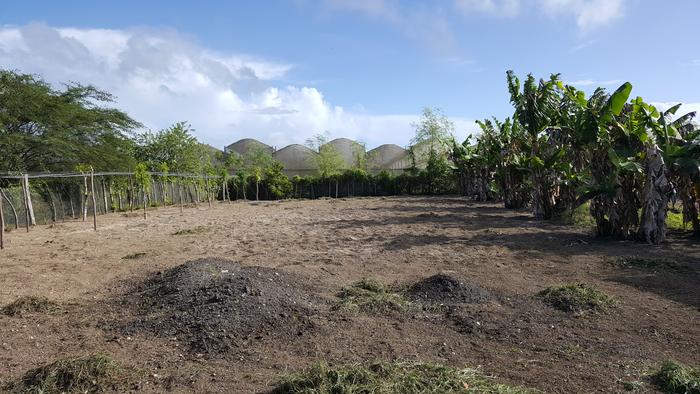 [Thumbnail for 20200114_100141.jpg]