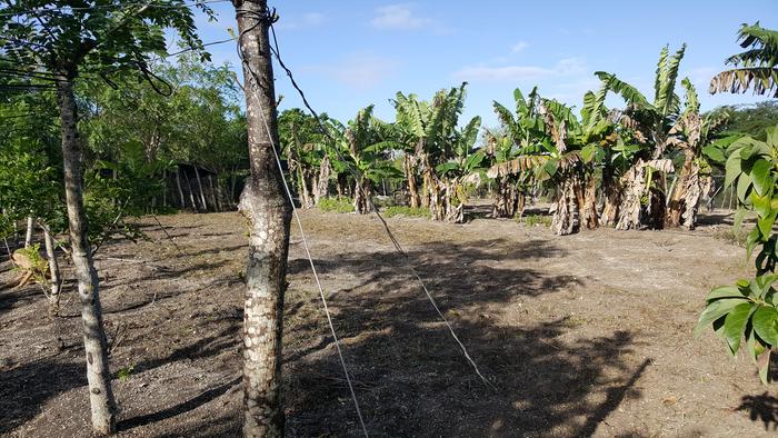 [Thumbnail for 20200114_090727.jpg]