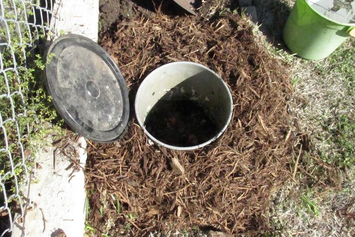 worm tower in mulch