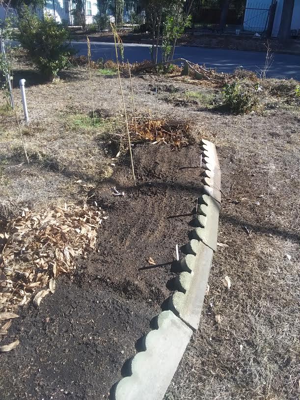 Annual vegetable beds