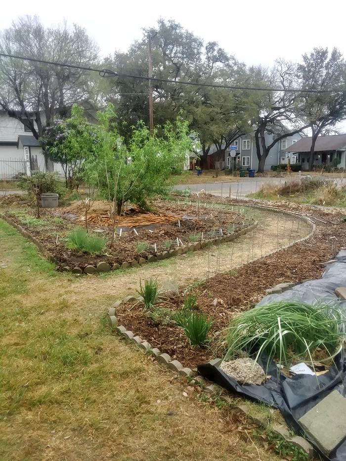 Food forest