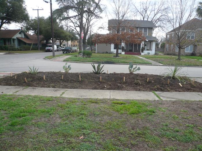 Texas xeriscape project