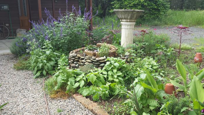 The terracotta pots are for my olla project so I don't need to irrigate (hopefully)