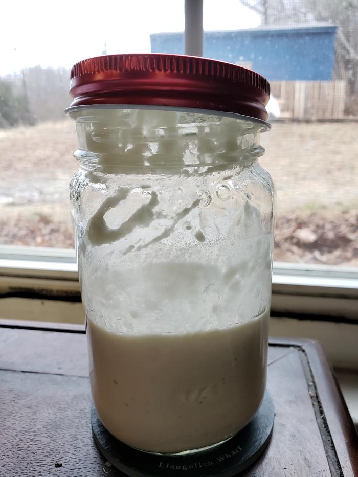 jar of sourdough starter