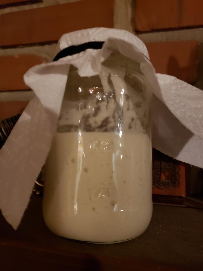 ar of sourdough starter