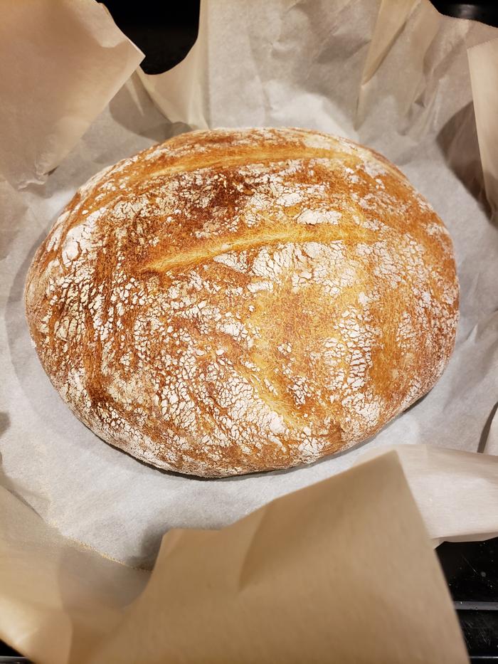 sound sourdough loaf