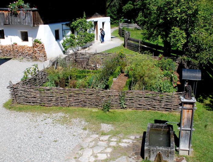 Traditional garden with medicinal herbs