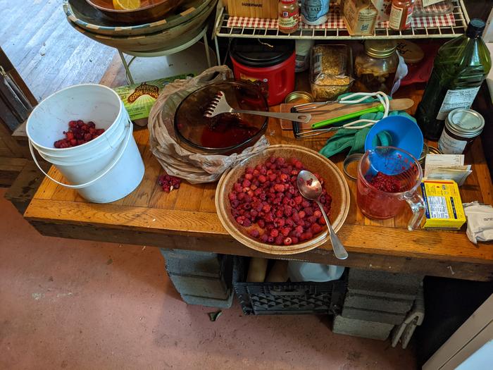 Berries, mashers, metal tongs and other tools.