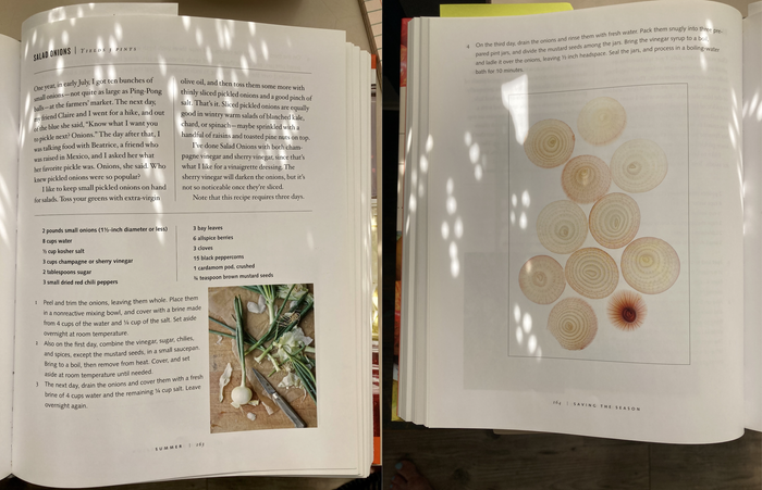 Salad Onions recipe from Saving the Season by Kevin West