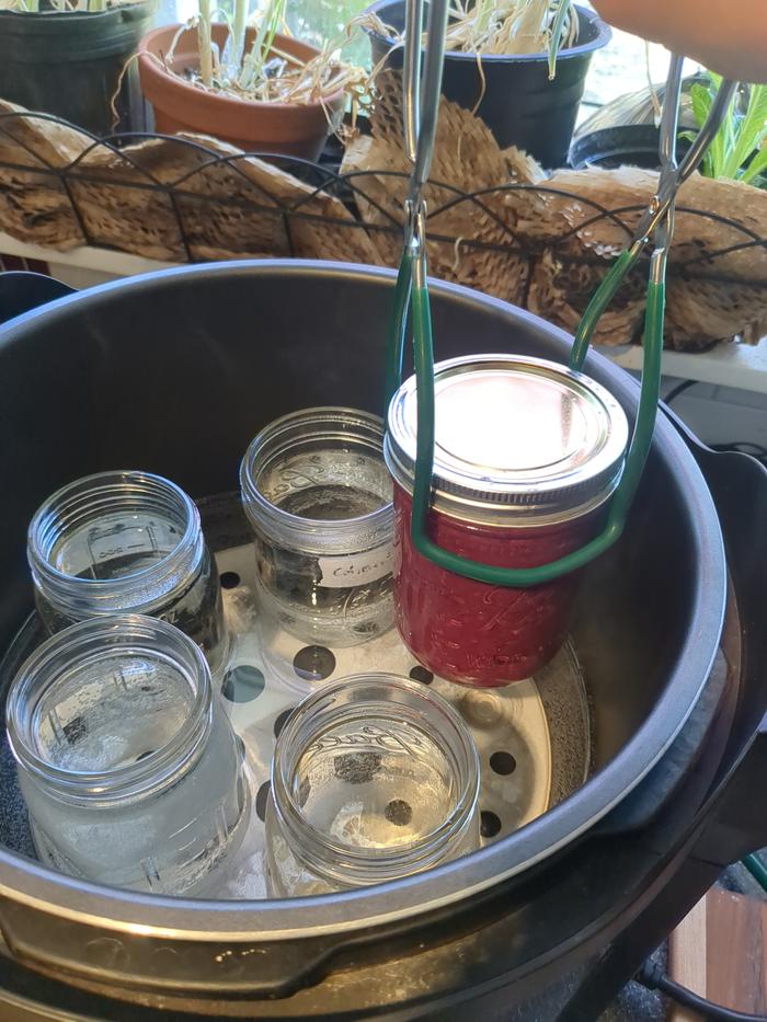 Going into the canner.