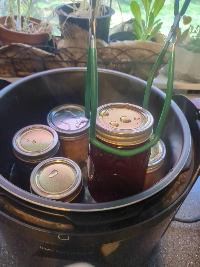 This picture was the first batch coming out of the canner.