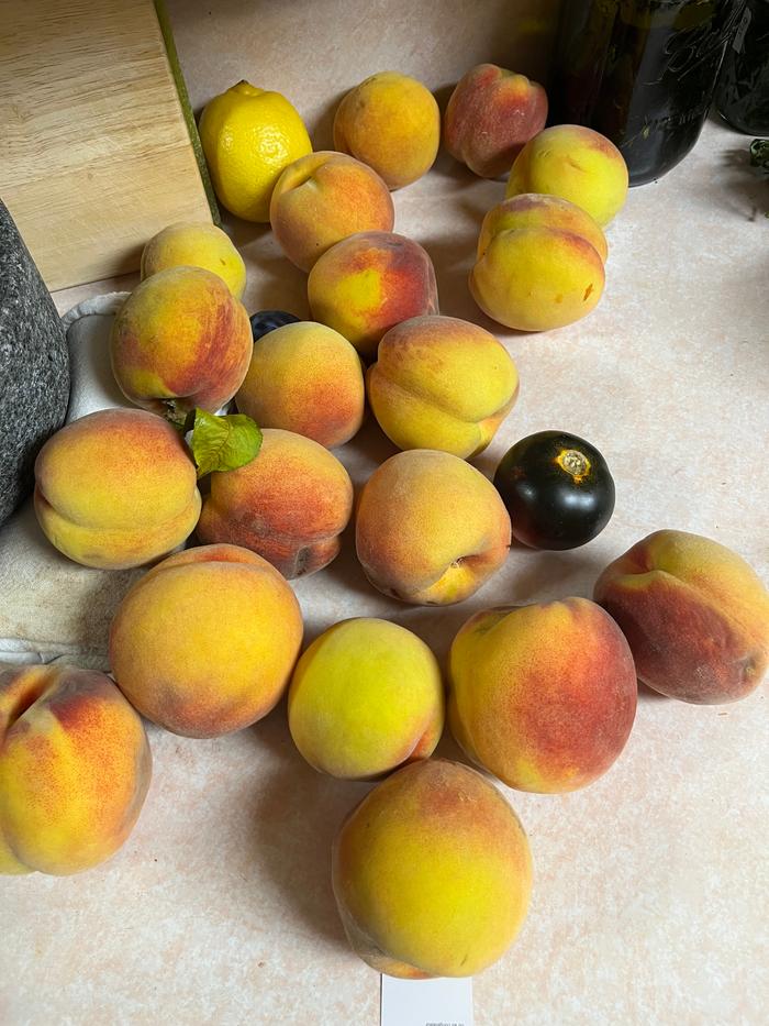 Peaches