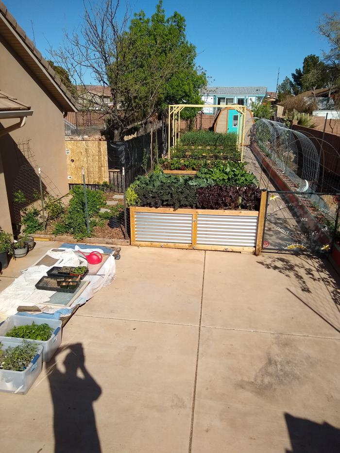 Seven new raised beds.