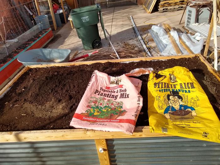 Turkey compost, mixed with peat moss, and more of my fungi rich wood chip compost, the topped with the two store bought bags of compost. (I actually get the torn open bags for free at work, so they didn't cost anything).