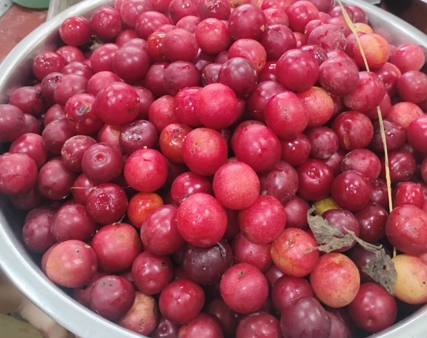 [Screenshot_20251117-110158-2.png]