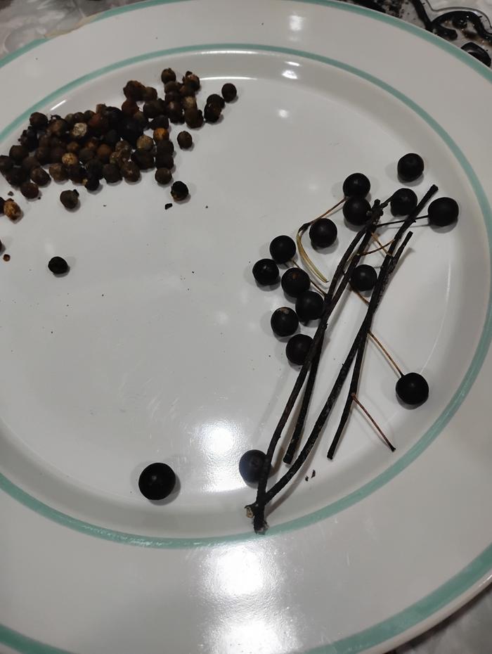 [Thumbnail for IMG_20251227_154313701_HDR.jpg]