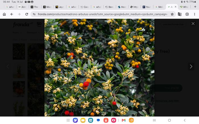 [Thumbnail for Screenshot_20260714_064404_Chrome.jpg]