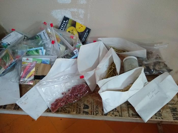 My name is not S., and yes, I'm a compulsive seed saver. :)