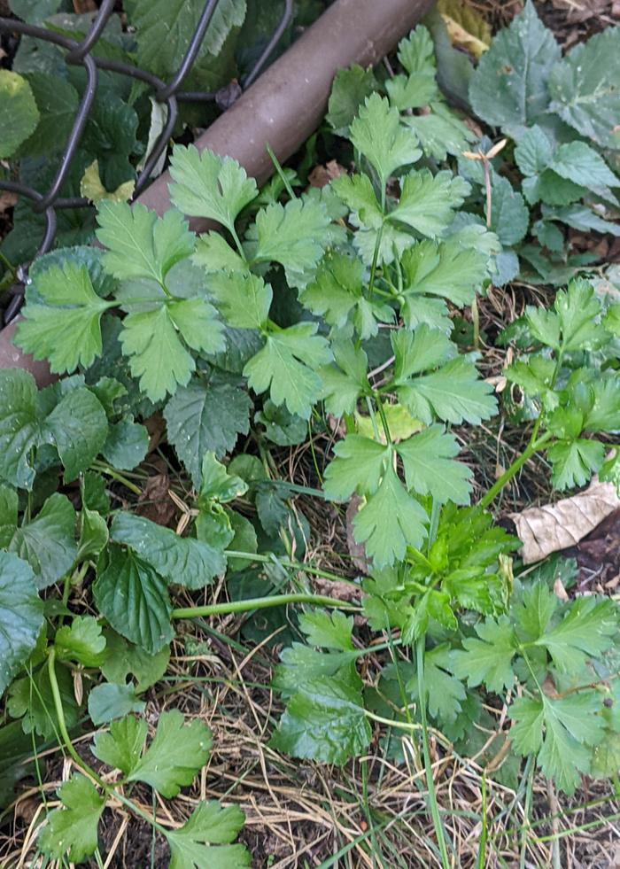 [Thumbnail for PXL_20251023_221045806.jpg]