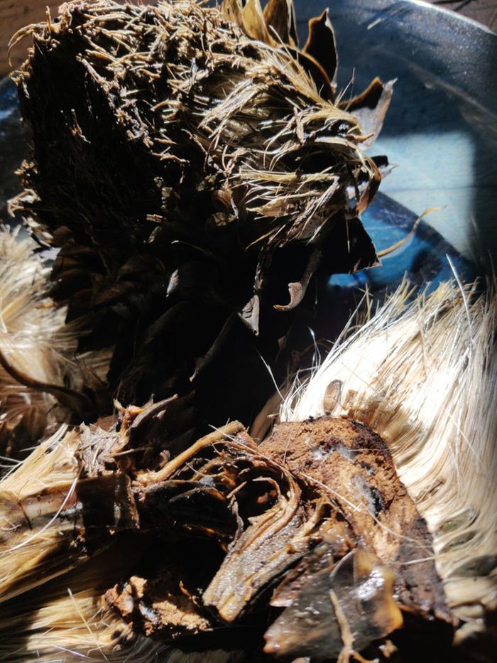 [Thumbnail for photo_2026-03-09_06-59-27.jpg]