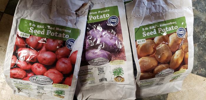 [Thumbnail for Potato-Varieties-2020.jpg]