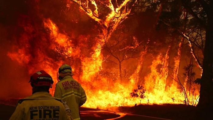 [Thumbnail for New-South-Wales-bushfires-2019-20.jpg]