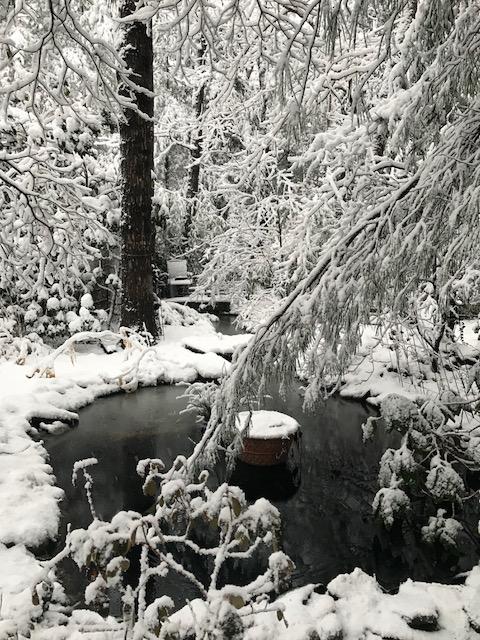 Homemade pond where I lived in NJ