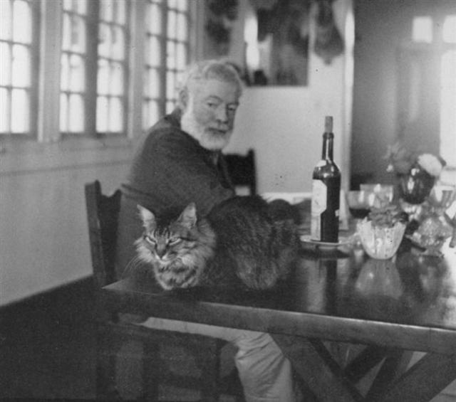 Hemingway's cats