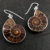 [Thumbnail for ammonite-earrings.png]