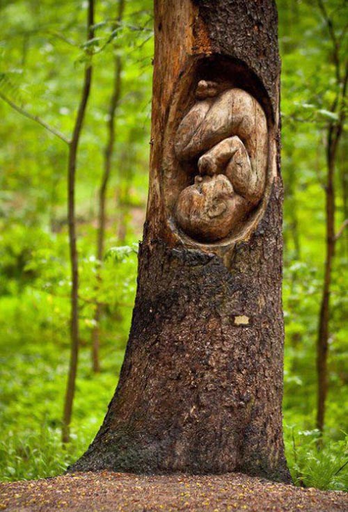 [Thumbnail for baby-carved-into-a-tree.jpg]