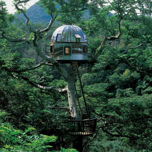 [Thumbnail for awesome-treehouses-06.jpg]