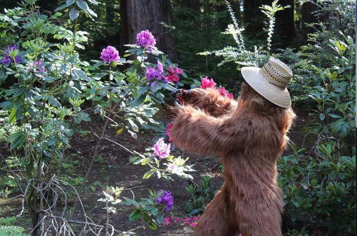 [Thumbnail for bigfoot-permie.jpg]