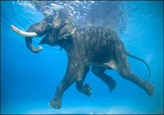[Thumbnail for Meet-Rajan-the-30825.jpg]