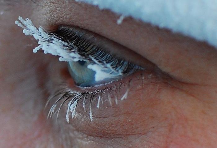 [Thumbnail for frozen-eyelashes.jpg]