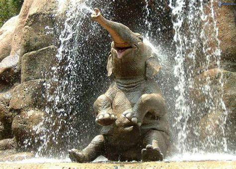 [Thumbnail for happy-elephant.jpg]