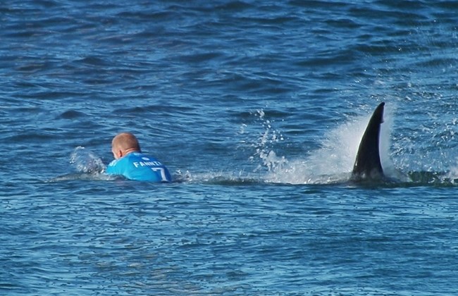 [Thumbnail for jss.jpg]