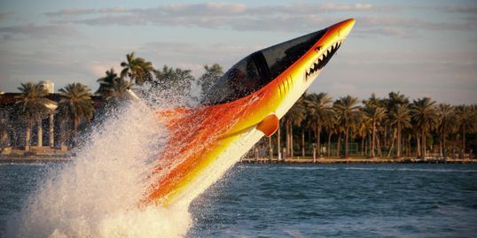 [Thumbnail for seabreacher.jpg]