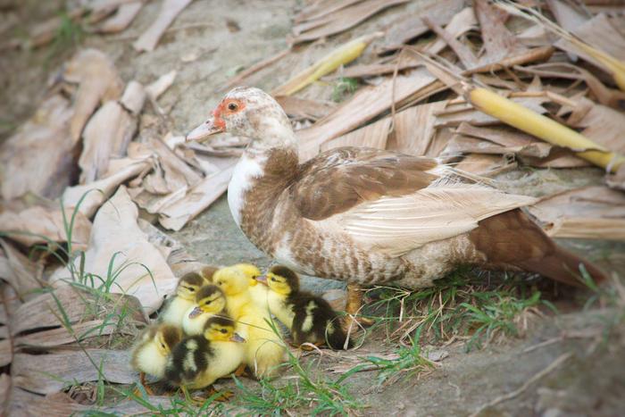 [Thumbnail for 9724A72C-651D-4834-A59E-ACCB766D9CBE.jpeg]