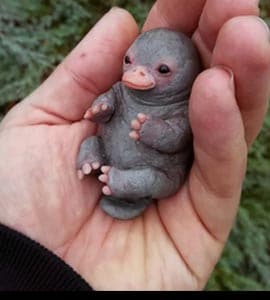 [Thumbnail for dbp.jpg]