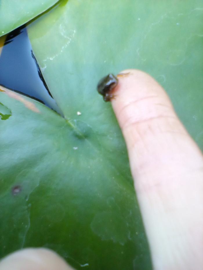 [Thumbnail for IMG_20200731_164308-183-.jpg]