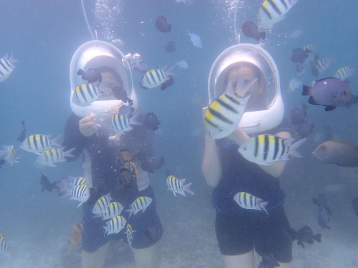 [Thumbnail for fish-feeding.jpg]