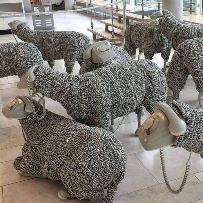 [Thumbnail for sheep-shearing-time.jpg]