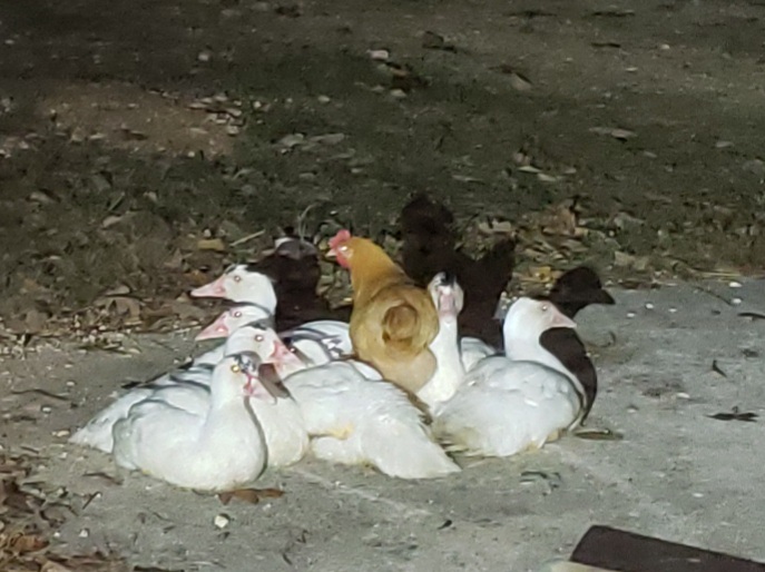 [Thumbnail for 20211027_200300.jpg]