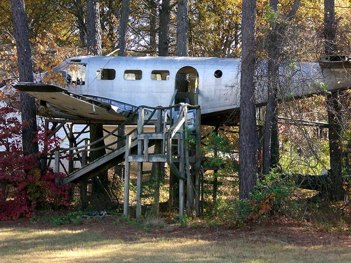 [Thumbnail for airplane-in-trees.jpg]